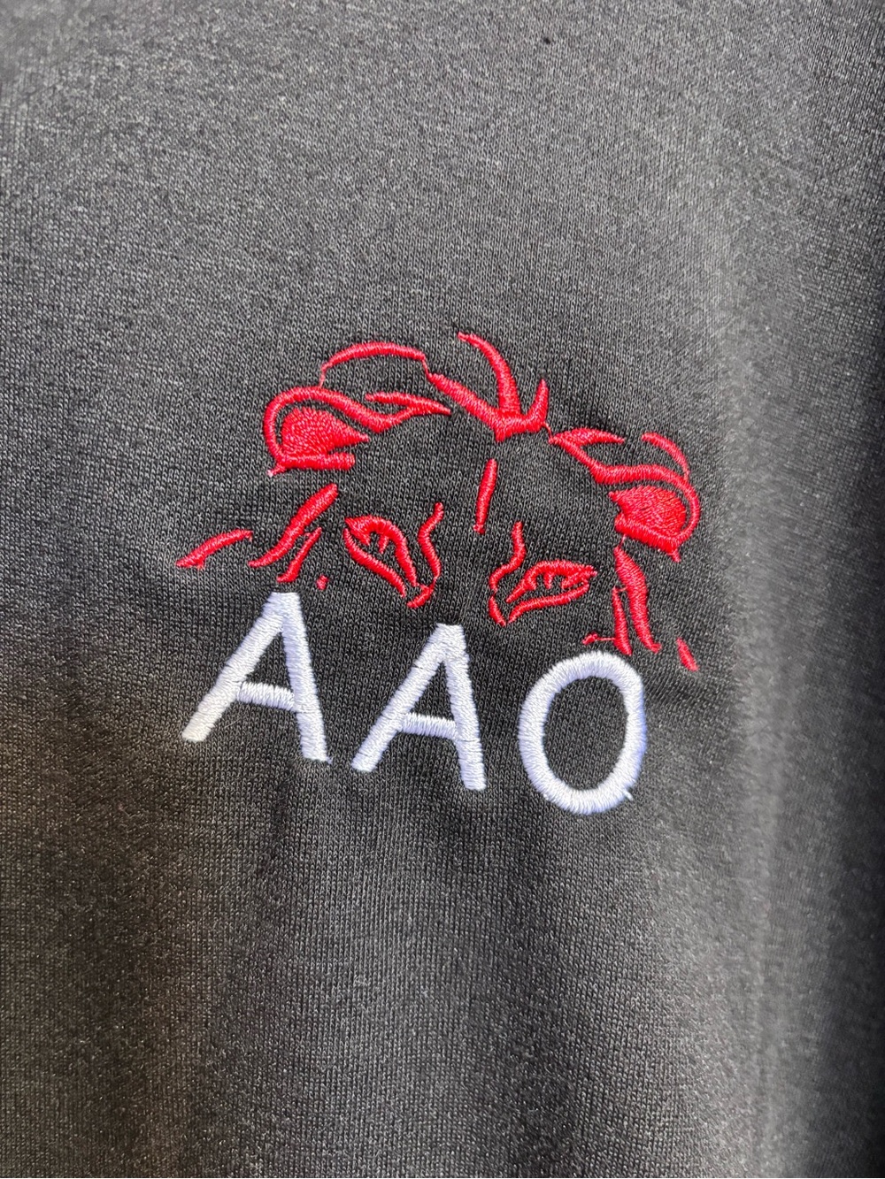 Black Hoodie Sweatshirt with Red Lion Embroidery and Overlap Collar